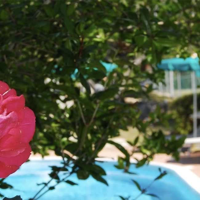 Hotel con Piscina Isola D'Elba